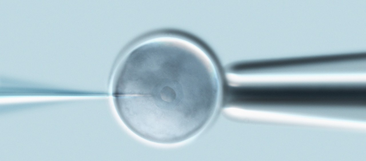 Using gene editing technology to repair a pathogenic mutation in human embryos